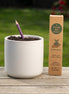 Plantable Pencils