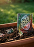 Plantable Diary - Māori Design