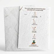 Plantable Birthday Card